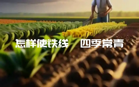 怎样使铁线蕨四季常青-会东网
