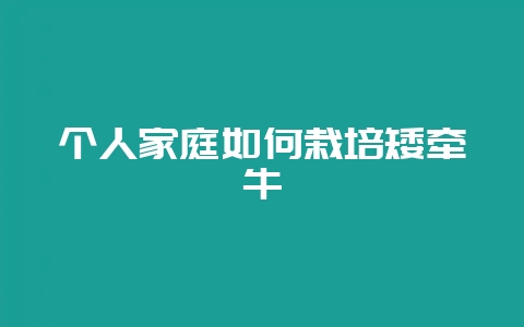 个人家庭如何栽培矮牵牛-会东网