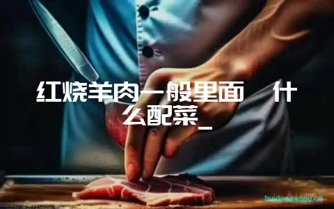 红烧羊肉一般里面炖什么配菜_-会东网