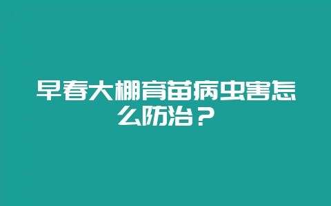早春大棚育苗病虫害怎么防治？-会东网