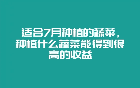 适合7月种植的蔬菜,种植什么蔬菜能得到很高的收益插图 适合7月种植的蔬菜,种植什么蔬菜能得到很高的收益插图