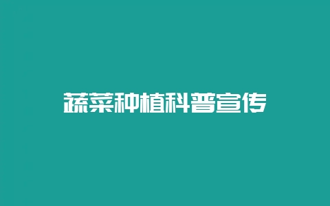 蔬菜种植科普宣传-会东网