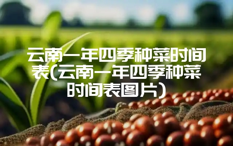 云南一年四季种菜时间表(云南一年四季种菜时间表图片)-会东网