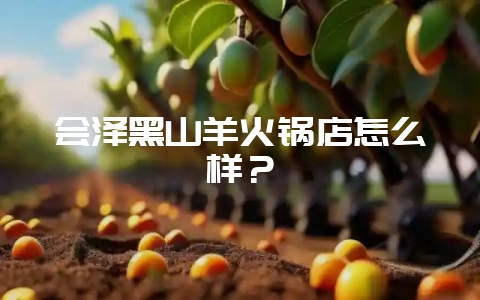 会泽黑山羊火锅店怎么样？-会东网