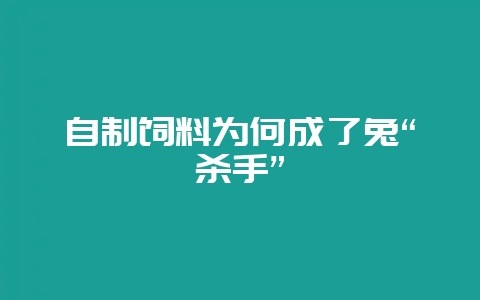 自制饲料为何成了兔“杀手”-会东网