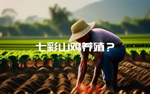 七彩山鸡养殖？-会东网