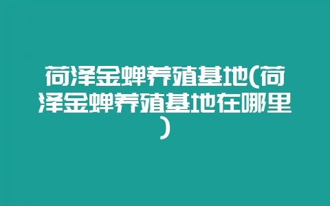 荷泽金蝉养殖基地(荷泽金蝉养殖基地在哪里)-会东网