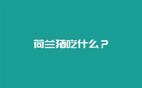 荷兰猪吃什么？-会东网