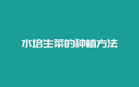 水培生菜的种植方法-会东网