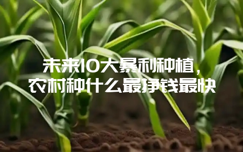 未来10大暴利种植，农村种什么最挣钱最快-会东网
