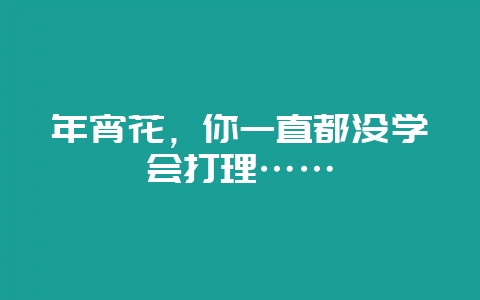 年宵花，你一直都没学会打理……-会东网