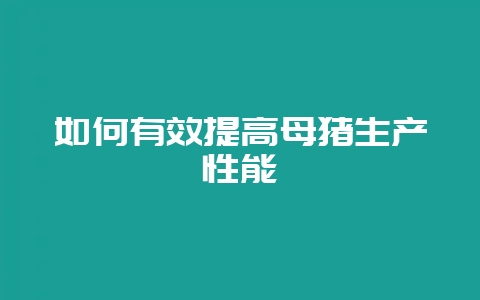 如何有效提高母猪生产性能-会东网
