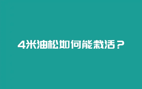 4米油松如何能栽活?-会东网