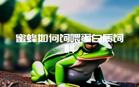 蜜蜂如何饲喂蛋白质饲料-会东网
