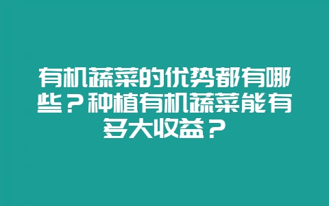 有机蔬菜的优势都有哪些?种植有机蔬菜能有多大收益?-会东网