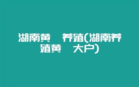 湖南黄鳝养殖(湖南养殖黄鳝大户)-会东网