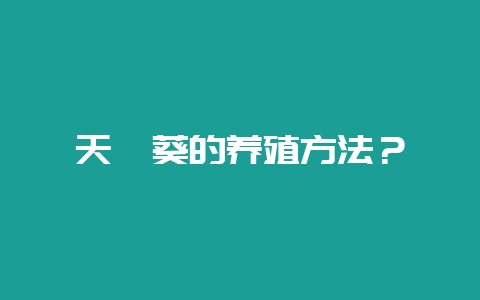 天竺葵的养殖方法？-会东网