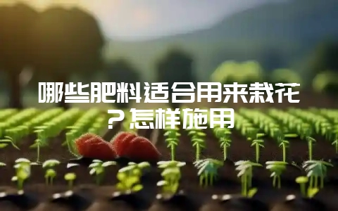 哪些肥料适合用来栽花?怎样施用-会东网