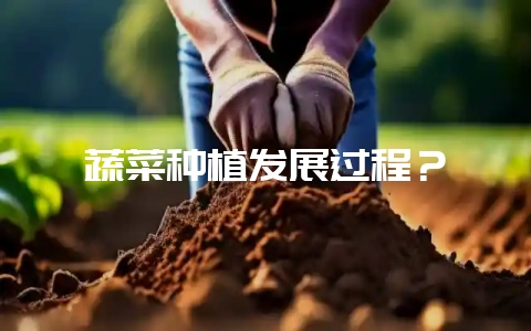 蔬菜种植发展过程？-会东网
