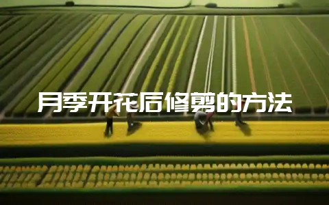 月季开花后修剪的方法插图 月季开花后修剪的方法插图