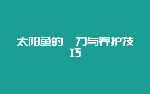 太阳鱼的魅力与养护技巧-会东网