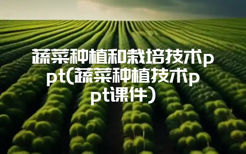 蔬菜种植和栽培技术ppt(蔬菜种植技术ppt课件)-会东网