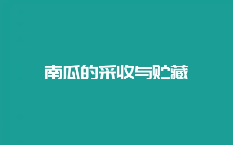 南瓜的采收与贮藏-会东网