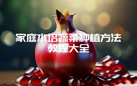 家庭水培蔬菜种植方法教程大全-会东网