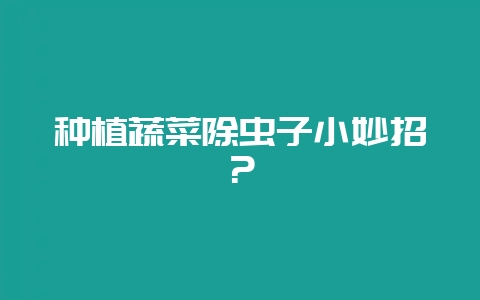 种植蔬菜除虫子小妙招？-会东网