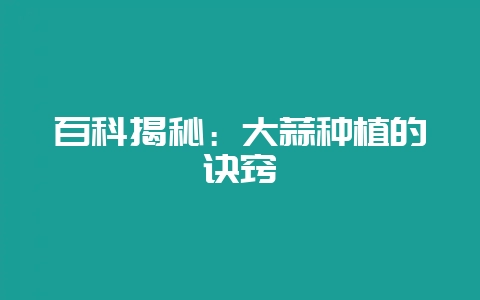 百科揭秘：大蒜种植的诀窍-会东网