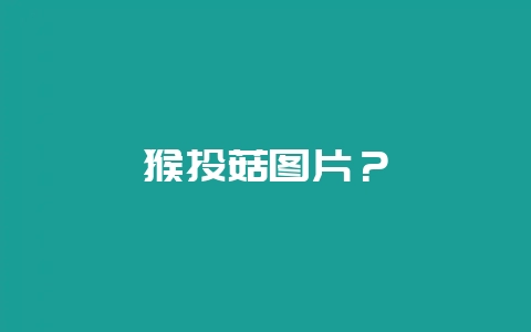 猴头菇图片？-会东网