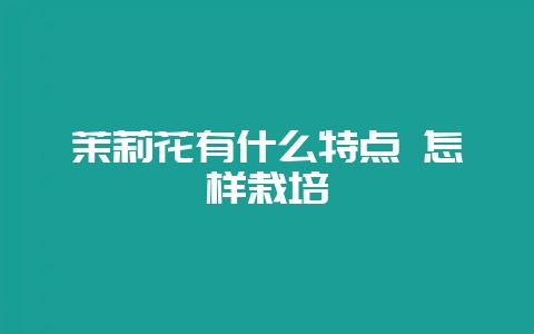 茉莉花有什么特点 怎样栽培-会东网