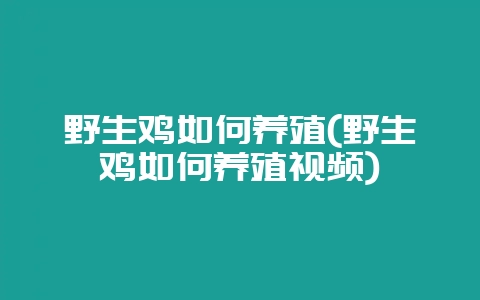 野生鸡如何养殖(野生鸡如何养殖视频)-会东网