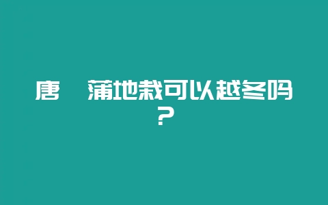 唐菖蒲地栽可以越冬吗？-会东网