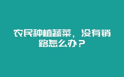 农民种植蔬菜，没有销路怎么办？-会东网