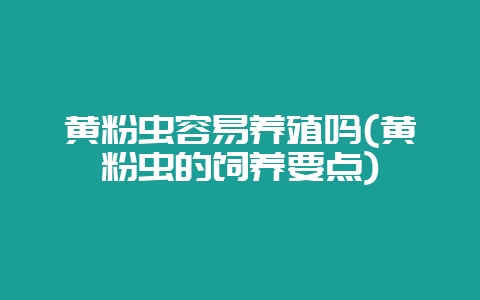黄粉虫容易养殖吗(黄粉虫的饲养要点)-会东网