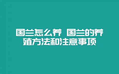 国兰怎么养 国兰的养殖方法和注意事项-会东网
