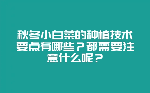 秋冬小白菜的种植技术要点有哪些？都需要注意什么呢？-会东网