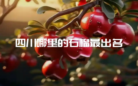 四川哪里的石榴最出名-会东网