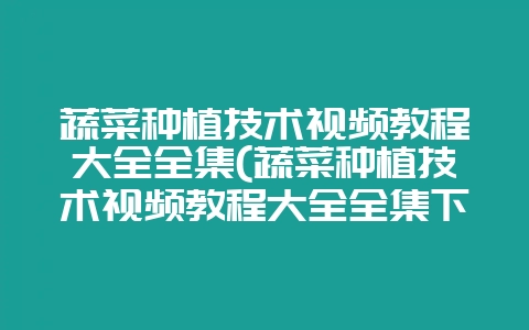 蔬菜种植技术视频教程大全全集(蔬菜种植技术视频教程大全全集下载)-会东网