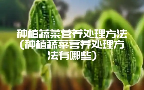 种植蔬菜营养处理方法(种植蔬菜营养处理方法有哪些)-会东网