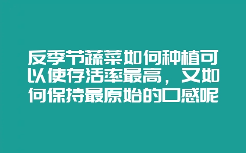 反季节蔬菜如何种植可以使存活率最高，又如何保持最原始的口感呢？-会东网