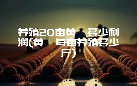 养殖20亩黄鳝多少利润(黄鳝每亩养殖多少斤)-会东网