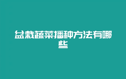 盆栽蔬菜播种方法有哪些-会东网