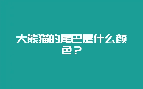 大熊猫的尾巴是什么颜色?-会东网