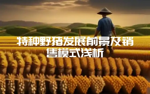 特种野猪发展前景及销售模式浅析-会东网