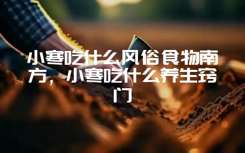 小寒吃什么风俗食物南方,小寒吃什么养生窍门-会东网