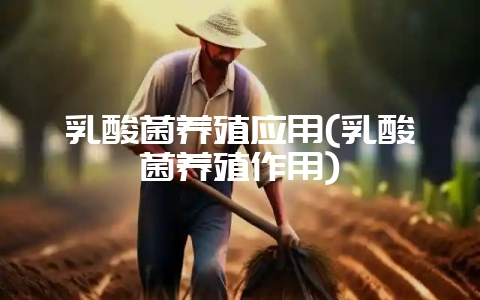 乳酸菌养殖应用(乳酸菌养殖作用)-会东网