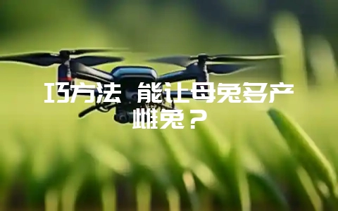 巧方法 能让母兔多产雌兔？-会东网