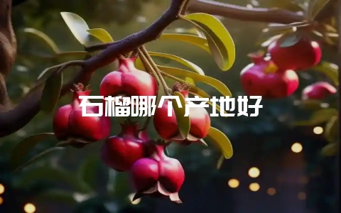 石榴哪个产地好-会东网